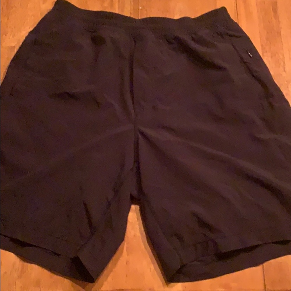 All black birddogs!